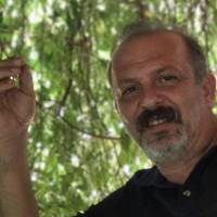 Bülent Hakan ALTUNCU