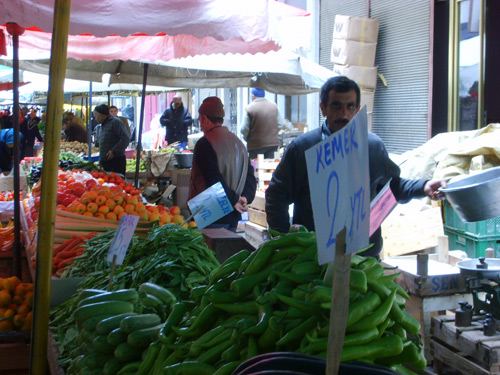 Ordu Resimleri 11