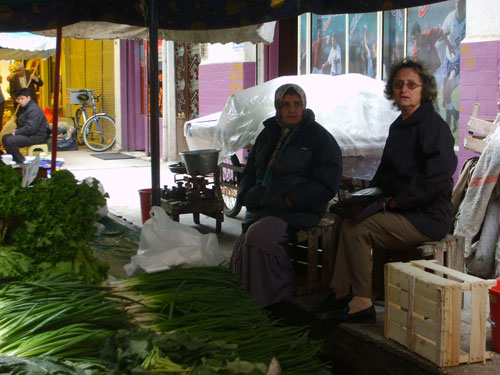 Ordu Resimleri 12