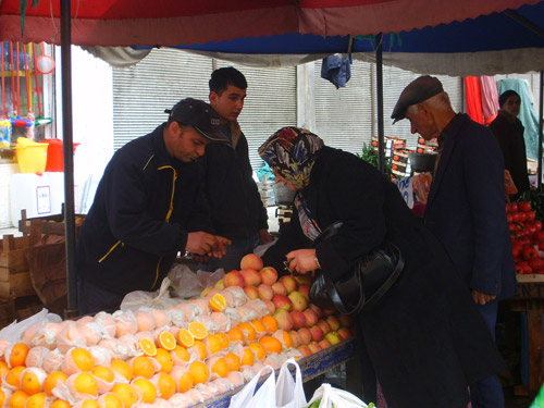 Ordu Resimleri 13