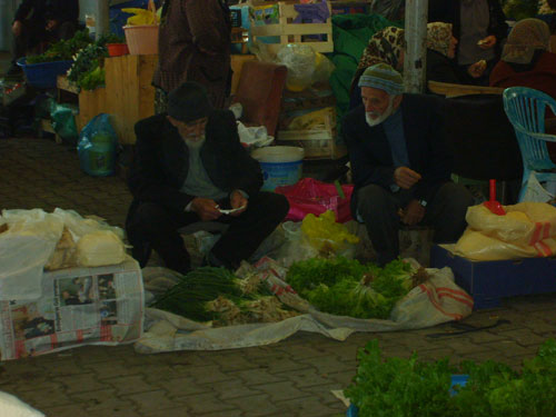 Ordu Resimleri 2