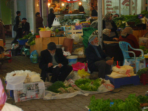 Ordu Resimleri 3