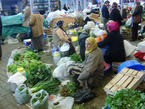 Ordu Resimleri 4