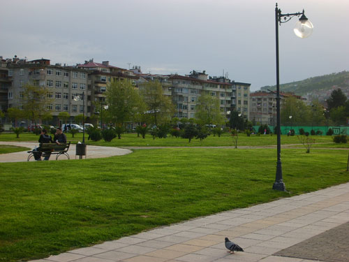 Ordu' da Nihayet Güneş 11
