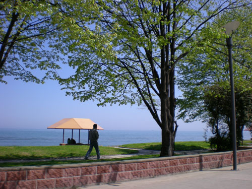 Ordu' da Nihayet Güneş 7