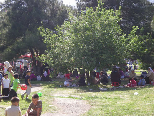 ORDU'DA MAYIS 7'Sİ 8