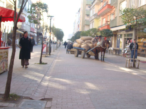 ORSEV SEVİNÇ HOCAMIZ VE ORDU'DAN KARELER... 7