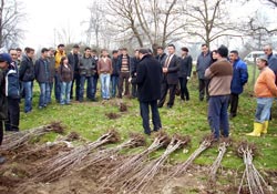 Düzce fındığa alternatif arıyor