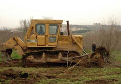 Sakarya ormanlarında fındıklar sökülüyor