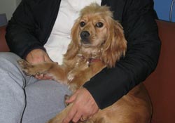 Ordu'da kayboldu, Samsun'da bulundu