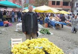 Emekli banka müdürü limon satıcısı oldu
