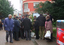 Orduluların Pepino merakı