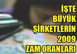 2009 da kim ne kadar zam yapacak