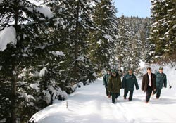 Yılbaşı çamı hırsızlarına önlem