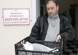 Biri çarptı diğeri yardım etti