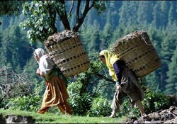 karadeniz kadını büyük göğüs sıkıntısı yaşıyor