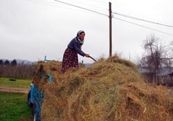 En çalışkan kadın Karadeniz kadını