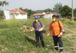 Giresun Kırım Kongo mücadelesini tamamladı