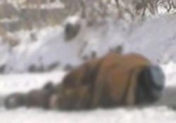 Giresunlu vatandaş donarak öldü