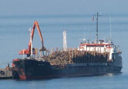 Ordu Aralık ayı gümrük gelirleri