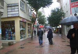 Ordu'da kar yağışı