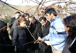 Tarım İl'den kivi eğitimi