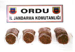 Jandarma'dan Ünye'de ersrar baskını