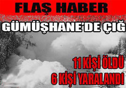 Gümüşhane'de çığ felaketi