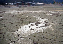Türkiye'de küresel ısınma faciası uyarısı