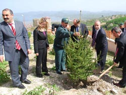 Fatsa'da Orman Haftası şenlikli geçti