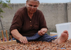 FKB mağdurları banka insafına terkedildi