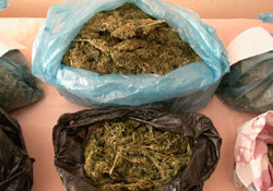 Büfede esrar yakalandı