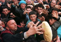 Ekmek israfı giderek artıyor