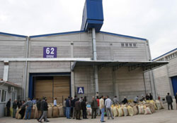 TMO ihracat mı yapacak