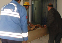 Kendi silahıyla canına kıydı