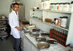 Karadeniz'in toprak haritası yenileniyor