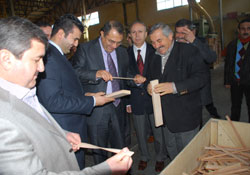 Vali Kaban Fatsa Organize Sanayi de