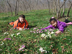 Karadeniz'e yaz erken geldi