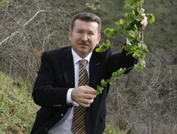 Erken gelen sıcak fındık için tehlike