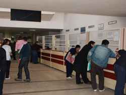 Ordu'da yeşil kartlı sayısı artıyor