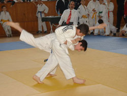 Ordu judocular şampiyodan derecelerle döndü