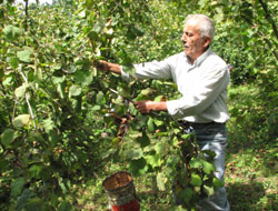 Şekerbank'tan kötü haber