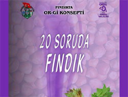 Fındık raporu valilik sitesinde