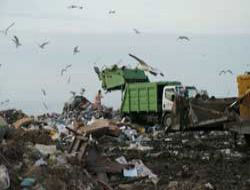 Giresun'da çöpten dertli