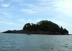 Giresun Adasına Gezi Yasağı