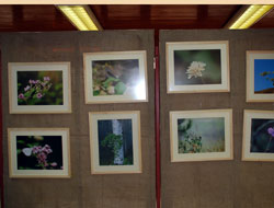 Algan'dan Ordu ilçeleri resim sergisi