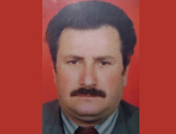 Ağaç budarken düşüp öldü