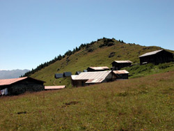 Yatırımcıya Yayla Daveti