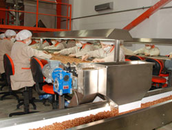 Fındık analiz sonucu belli oldu