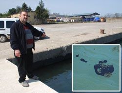 Fatsa limanında fuel-oil krililiği